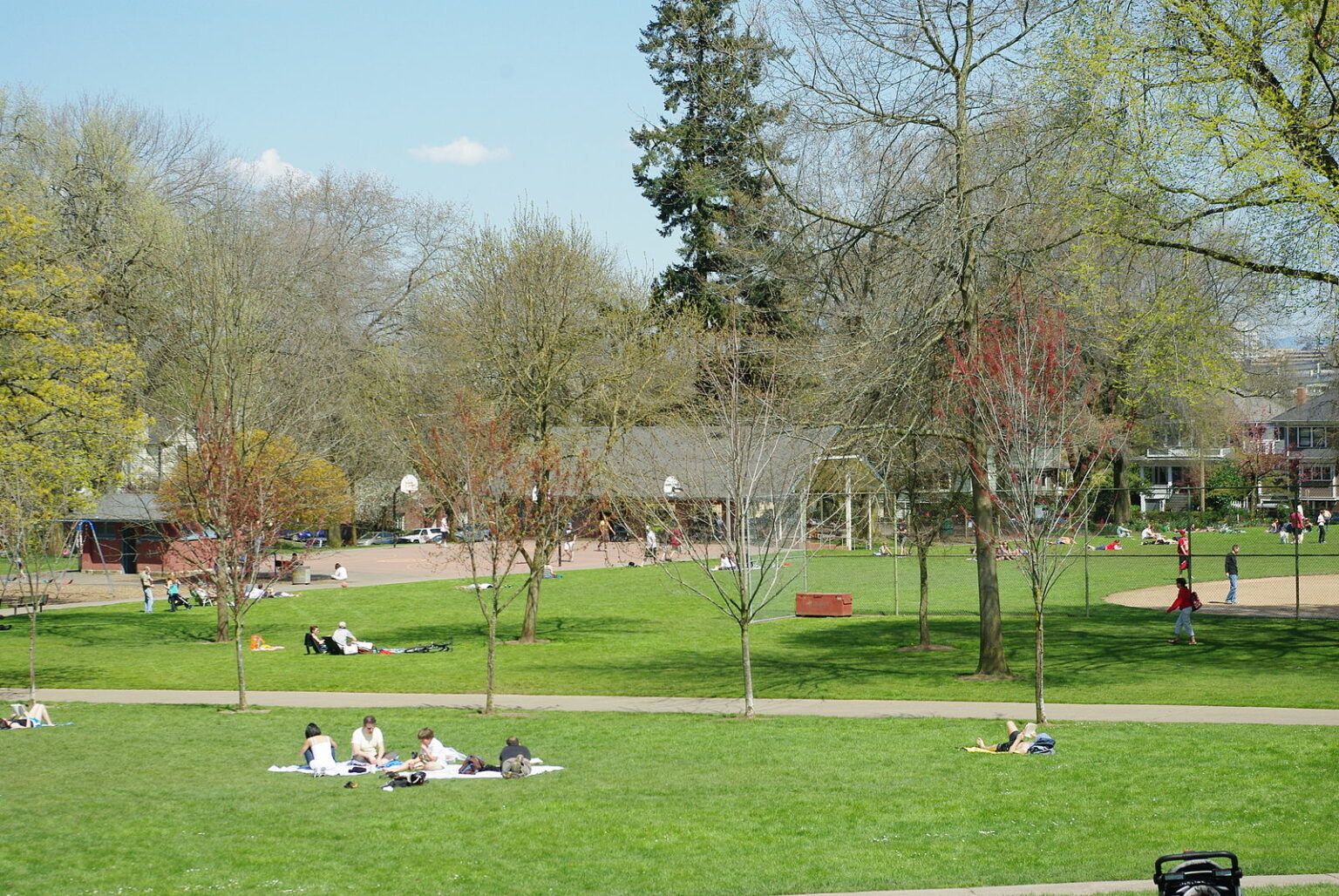 Wallace Park Portland OR: Beyond the Tourist Trail: Our Exclusive Guide